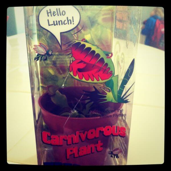 Feed Me! Carnivorous Plants for Kids = Awesome Momfluential Media