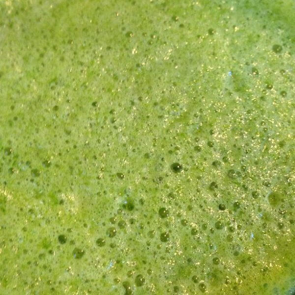 greenjuice
