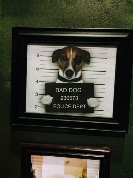 brooklyn99 set decor