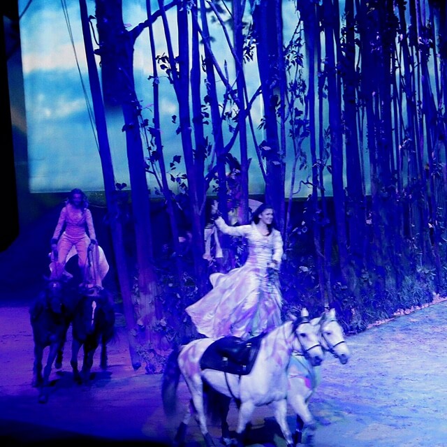 Cavalia Odysseo OC