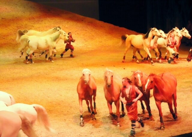 Cavalia Odysseo OC