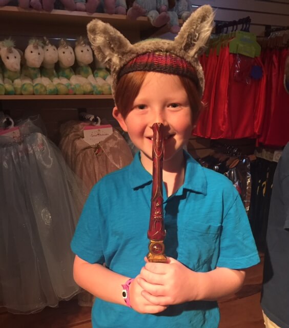 Great Wolf Lodge California Wands