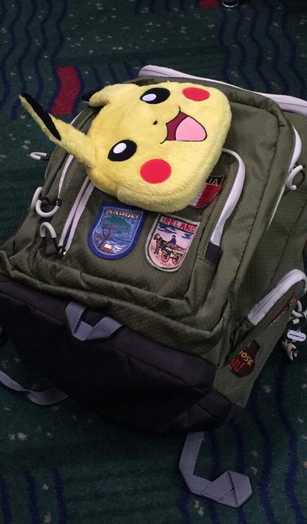 Have Pikachu DS XL Case will travel