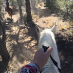 riding the PCT with Baldwin Lake Stables trail ride