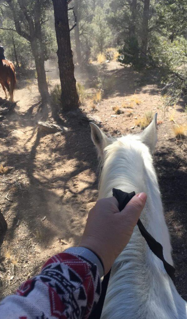 riding the PCT with Baldwin Lake Stables trail ride