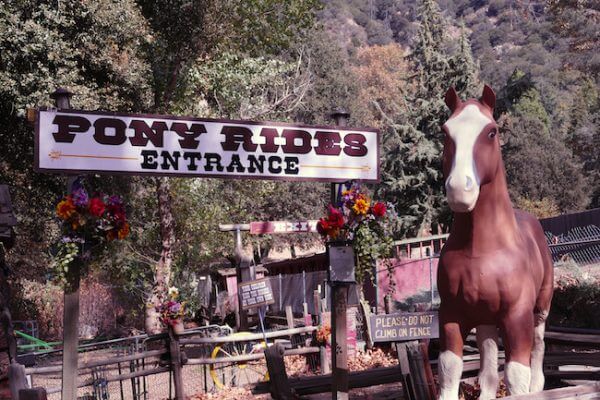 Pony Rides at Oak Glen village 