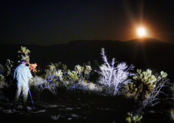 photographer in the the desert