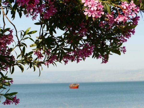 Tour boat on the Sea of Galilee
