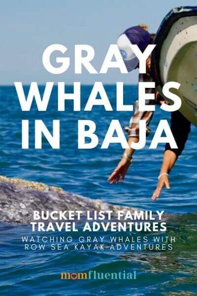 whale watching in Baja on Magdalena Bay